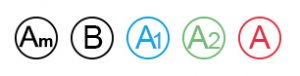Diploma Categories
