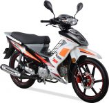 brio125