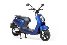 Nipponia Diva 50